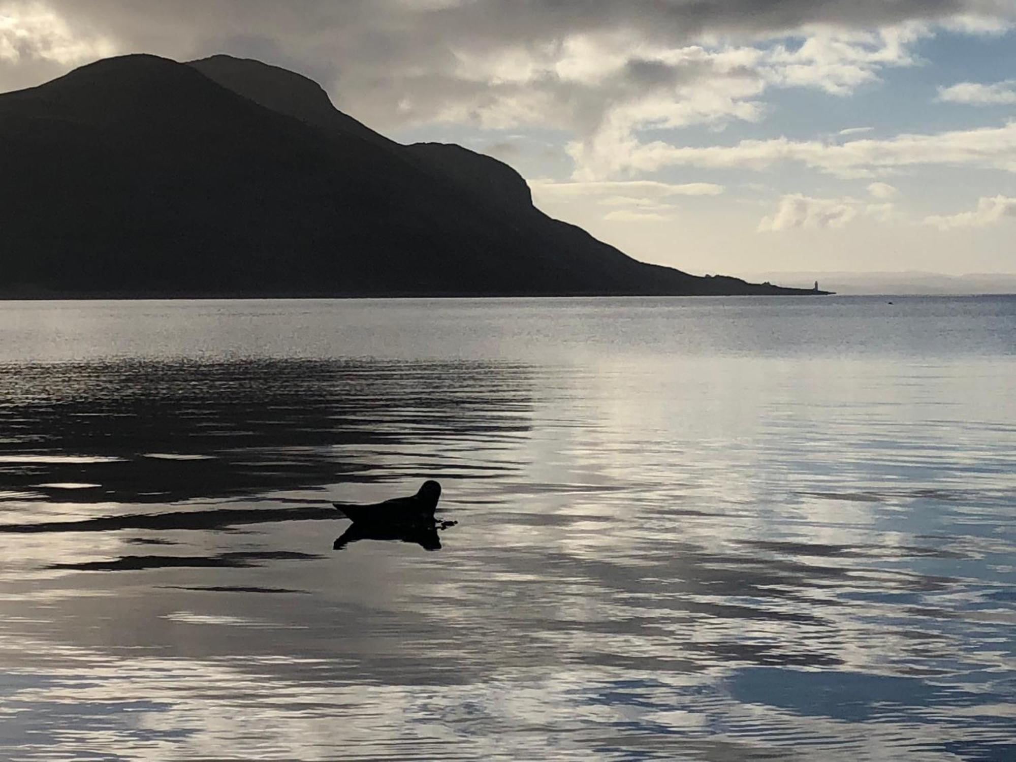 The Arran Lodge & Arran Sleep Huts Lamlash Экстерьер фото